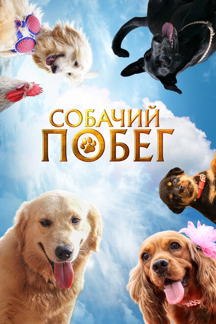 Постер к Собачий побег