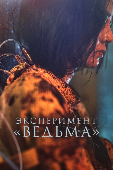 Постер к Эксперимент «Ведьма»