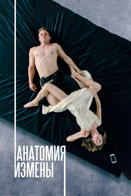 Постер к Анатомия измены