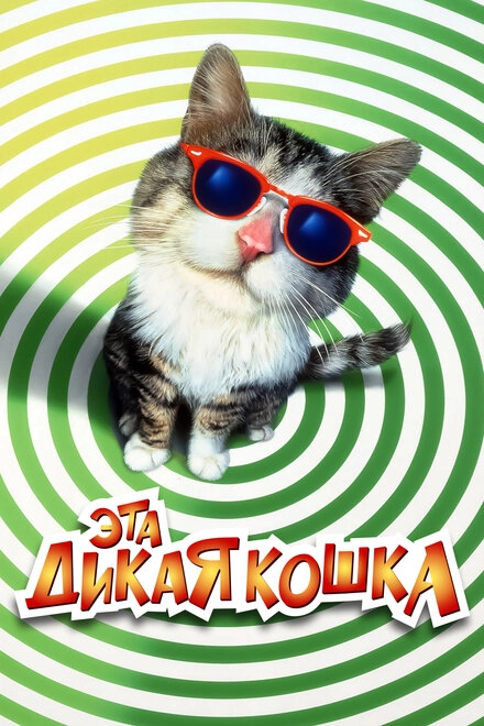 Постер к Эта дикая кошка