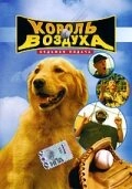 Постер к Король воздуха: Седьмая подача