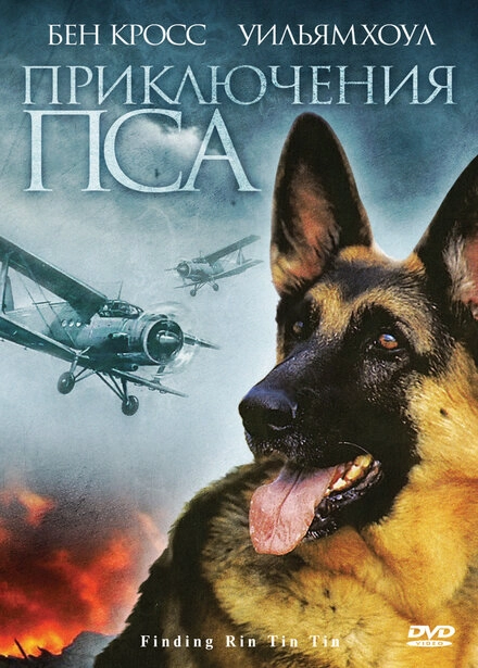 Постер к Приключения пса