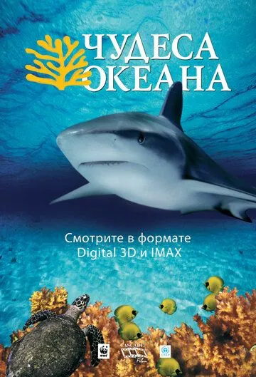 Постер к Чудеса океана 3D