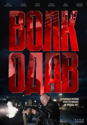 Постер к Волкодав