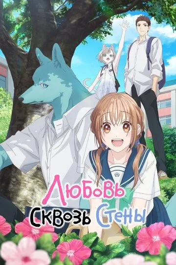 Постер к Любовь сквозь стены